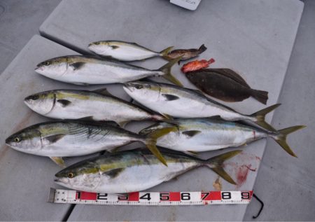 渡船屋たにぐち 釣果