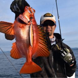 渡船屋たにぐち 釣果