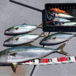 渡船屋たにぐち 釣果