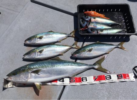 渡船屋たにぐち 釣果