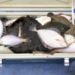 第二 つれたか丸 釣果