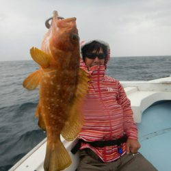 きずなまりん 釣果