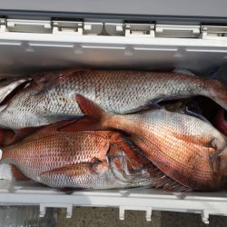 第二八坂丸 釣果