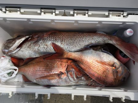 第二八坂丸 釣果