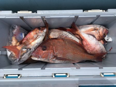 第二八坂丸 釣果