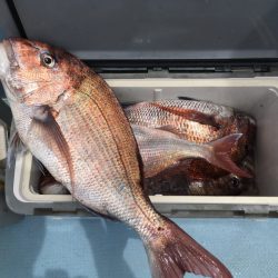 第二八坂丸 釣果