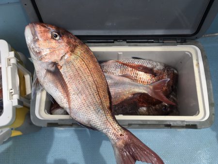 第二八坂丸 釣果