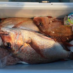 第二八坂丸 釣果