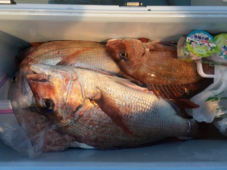 第二八坂丸 釣果