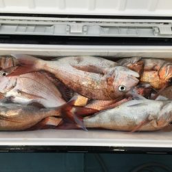 第二八坂丸 釣果