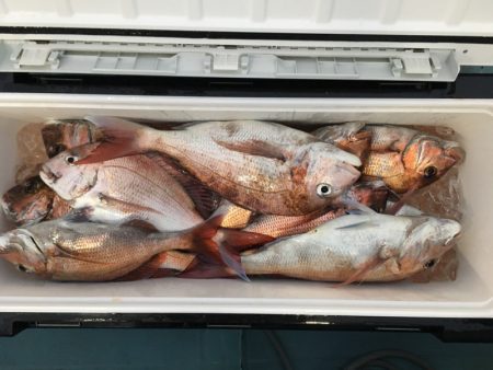 第二八坂丸 釣果