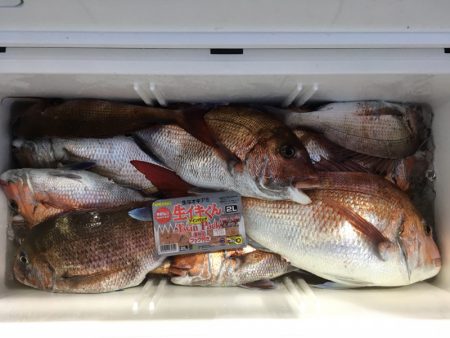 第二八坂丸 釣果