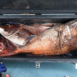 第二八坂丸 釣果