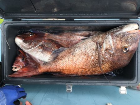 第二八坂丸 釣果