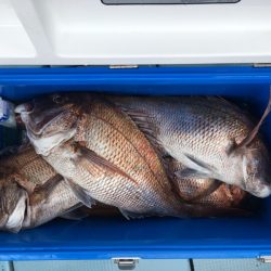 第二八坂丸 釣果