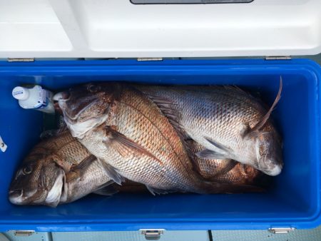 第二八坂丸 釣果