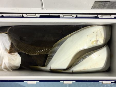 第二八坂丸 釣果