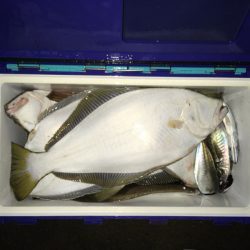 第二八坂丸 釣果