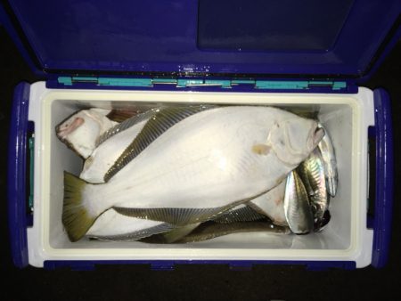 第二八坂丸 釣果