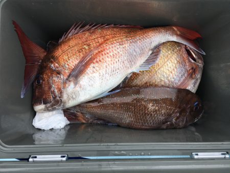 第二八坂丸 釣果