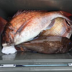 第二八坂丸 釣果