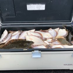 第二　つれたか丸 釣果