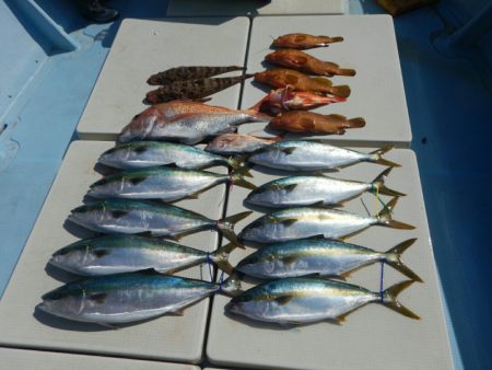 きずなまりん 釣果