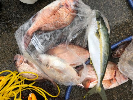 あみや渡船 釣果