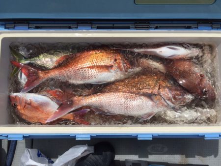 エヌスタイル 釣果