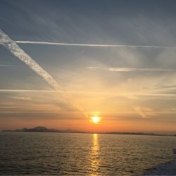 末広丸(熊本) 釣果