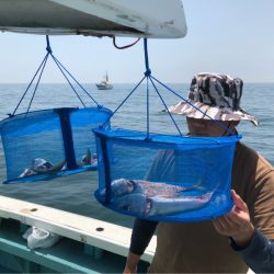 丸万釣船 釣果