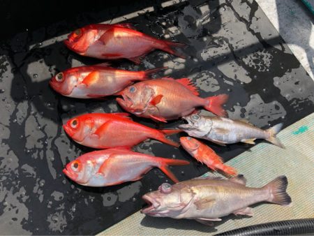 ＴＡＲＯＭＡＲＵ 釣果