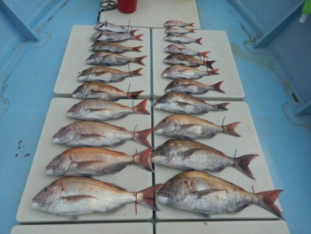 きずなまりん 釣果