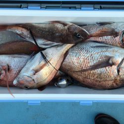 第二八坂丸 釣果