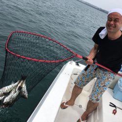 うさぎ丸 釣果