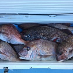 第二八坂丸 釣果