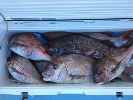 第二八坂丸 釣果