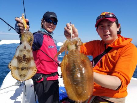 ソルトウォーターガイドフレンズ 釣果