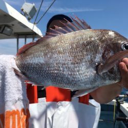 第二八坂丸 釣果