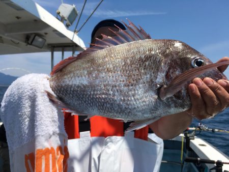 第二八坂丸 釣果