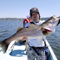 アマテラス 釣果