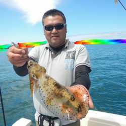 きずなまりん 釣果