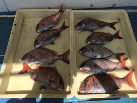 ヤザワ渡船 釣果