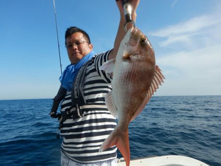 きずなまりん 釣果
