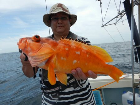 きずなまりん 釣果
