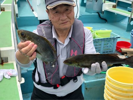 丸万釣船 釣果
