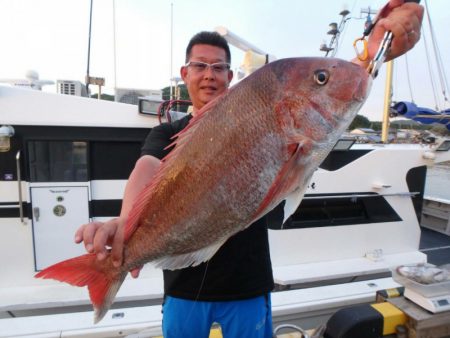 ARCADIAⅡ (アルカディアⅡ) 釣果