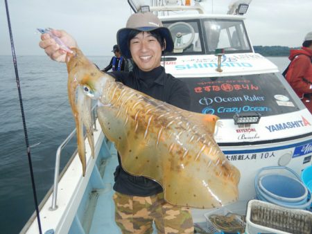 きずなまりん 釣果