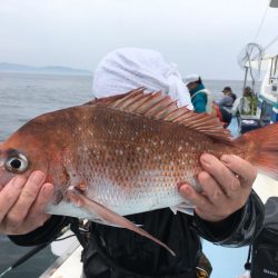 第二八坂丸 釣果