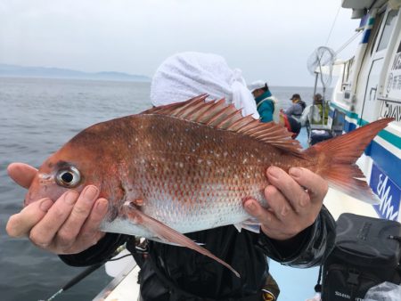 第二八坂丸 釣果